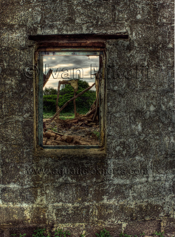 fotos del estado Falcon